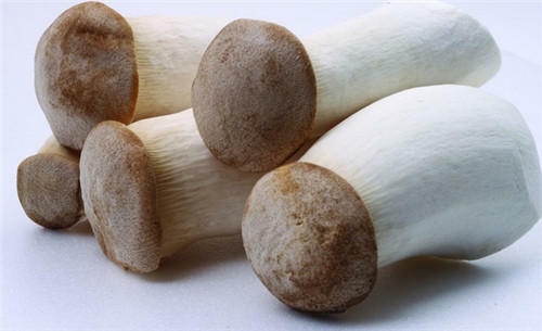Braised Mushroom