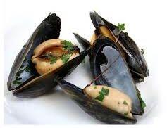 Blue Mussel