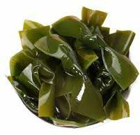 Seaweed Knot