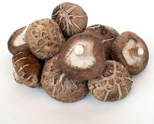 Shiitake Mushroom